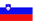 Skatinger Slovenia