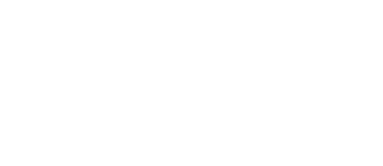 Skatinger supportato da Stripe